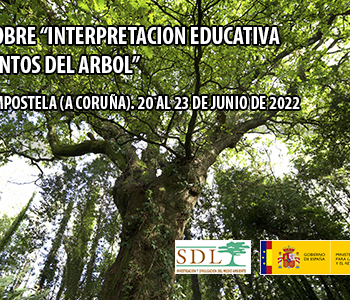 Santiago acollerá as Xornadas de Interpretación Educativa e Coñecemento da Árbore